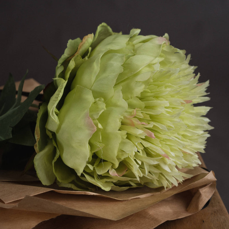 Faux Single Stem Green Peony