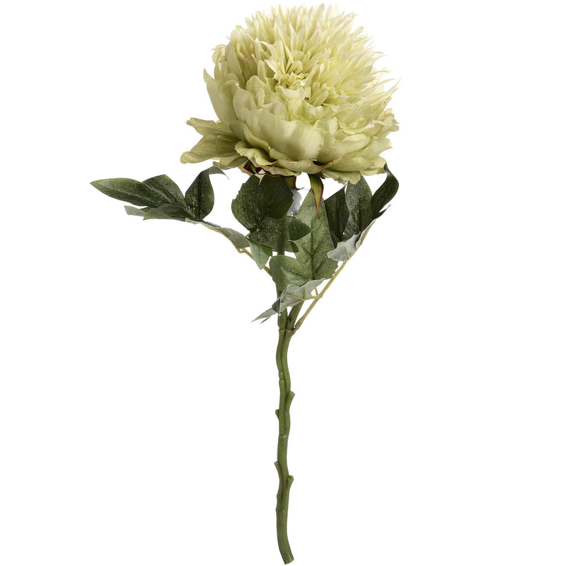 Faux Single Stem Green Peony