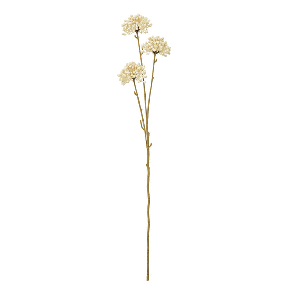 Cream Allium Single Stem Spray