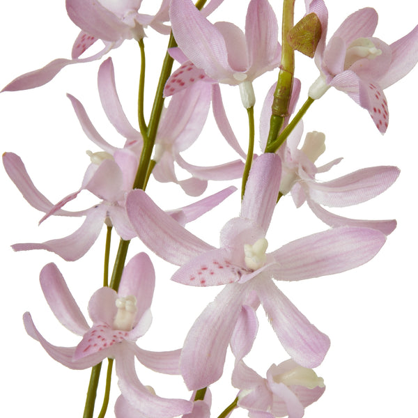 Lilac Cymbidium Single Stem Spray