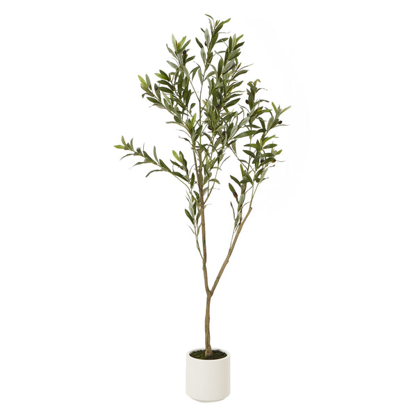 Small Olive Tree in a cream pot